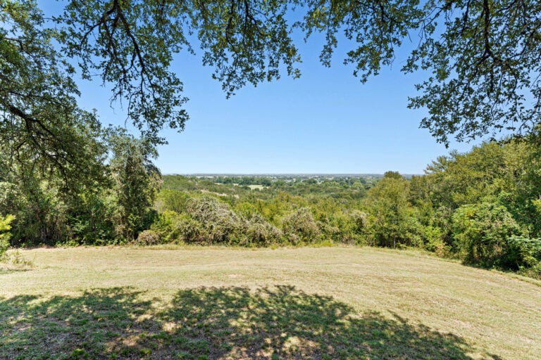 30 - Back Yard (Picture 01)